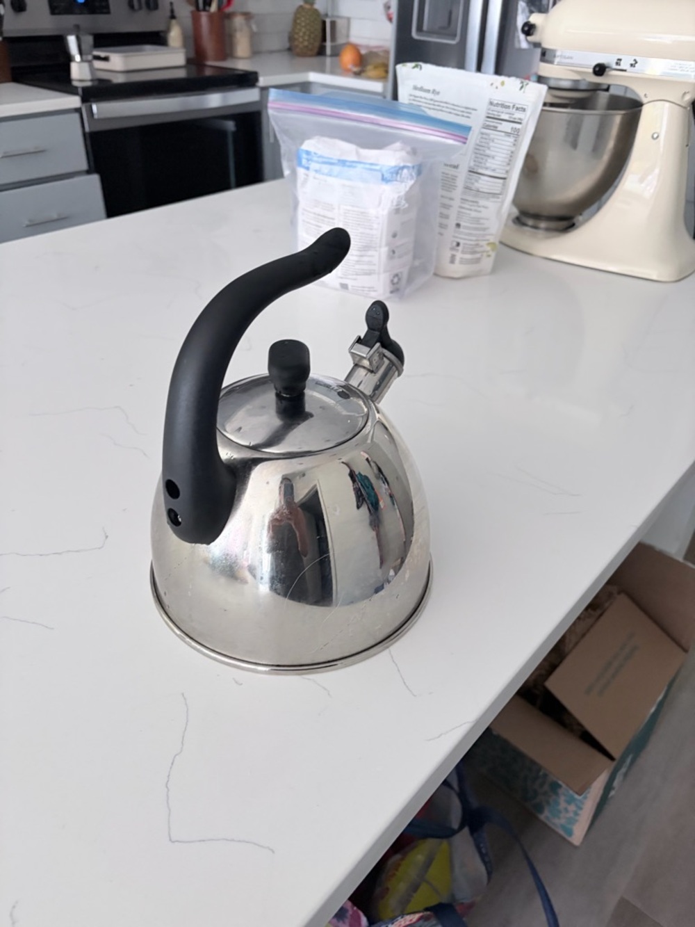 Stainless Steel Whistling Tea Kettle with Black Handle - Picture 2 of 6
